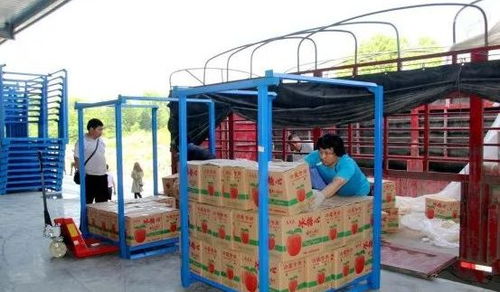 永州嘉信冷鏈倉儲物流中心正式開業，助推區域物流體系升級